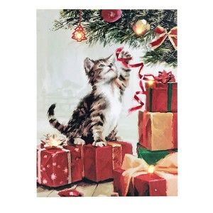 Blancheporte Svietiaci obrázok mačka mačka