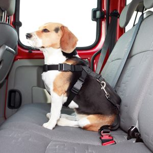 Blancheporte Bezpečnostný postroj s pásmi pre psy