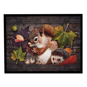 Blancheporte Rohožka s motívom veveričky a ježka 40x60cm
