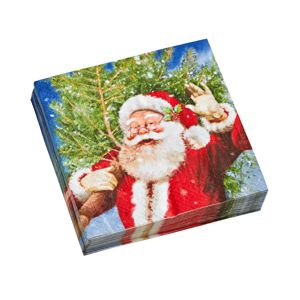 Blancheporte Papierové obrúsky s potlačou Santa Clausa, súprava 20 ks Santa 20 ks