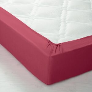 Blancheporte Jednofarebná napínacia posteľná plachta s hĺbkou rohov 40 cm pivonková napínacia plachta 180x200cm